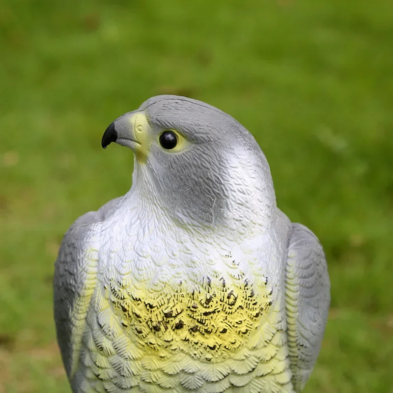 Hawk Eagle Decoy Statue