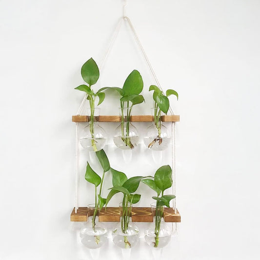 Wall Hanging Plant Propagation Station