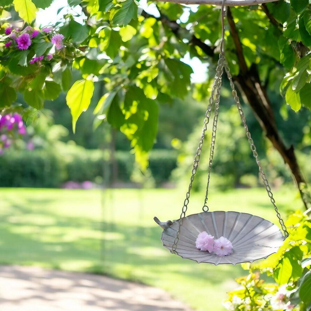 Hanging Bird Feeder